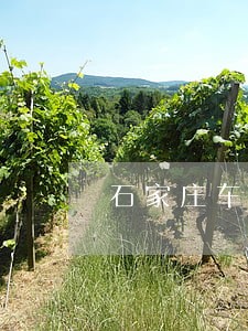 石家庄车贷逾期处理教程费用多少 石家庄车贷逾期处理教程费用多少