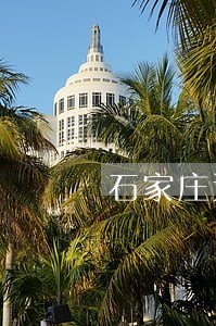 石家庄过渡费逾期发放标准 石家庄过渡费逾期发放标准