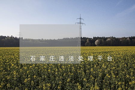 石家庄违法处理平台 石家庄违法处理平台