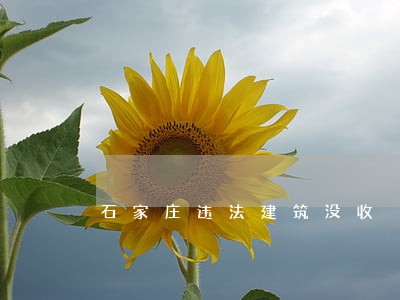 石家庄违法建筑没收