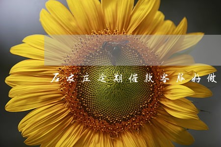 石家庄逾期催款客服好做吗 石家庄逾期催款客服好做吗
