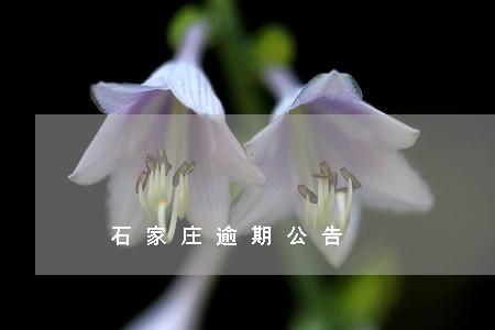 石家庄逾期公告 石家庄逾期公告