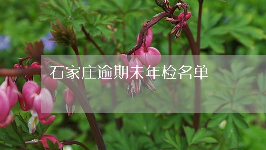 石家庄逾期未年检名单 石家庄逾期未年检名单