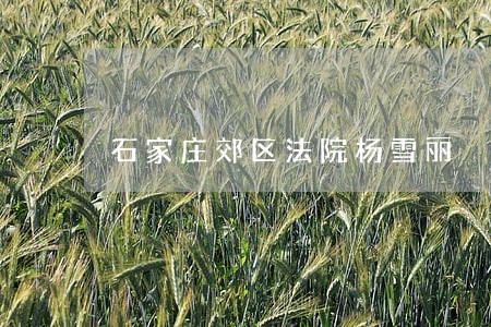 石家庄郊区法院杨雪丽