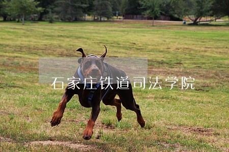 石家庄铁道司法学院 石家庄铁道司法学院