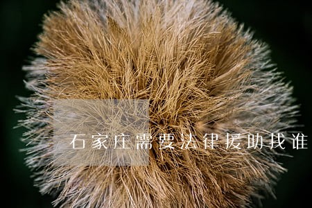 石家庄需要法律援助找谁 石家庄需要法律援助找谁