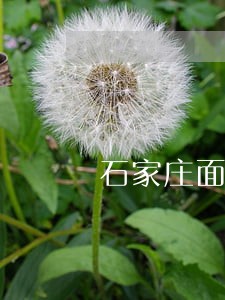 石家庄面包车逾期公告 石家庄面包车逾期公告