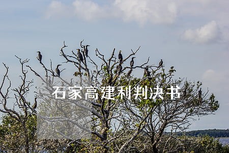 石家高建利判决书 石家高建利判决书