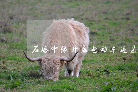 石岭中队开展电动车违法整治行动 石岭中队开展电动车违法整治行动