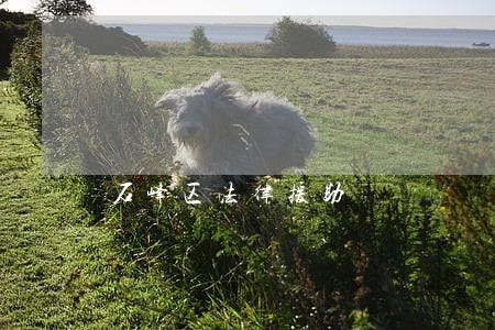 石峰区法律援助
