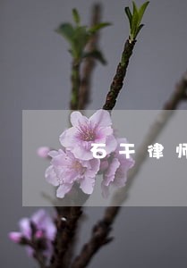 石干律师 石干律师