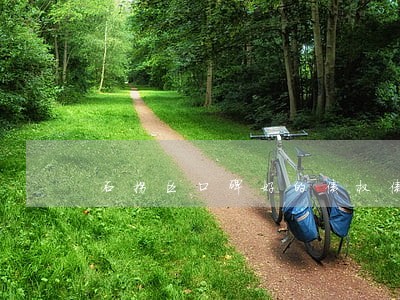 石拐区口碑好的债权债务纠纷律师