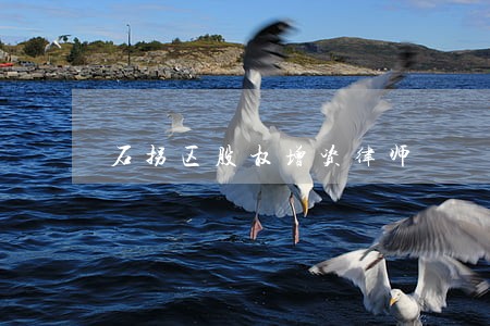 石拐区股权增资律师 石拐区股权增资律师