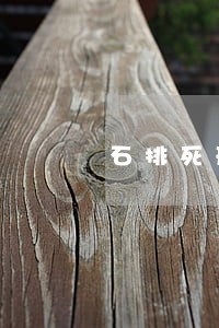 石排死刑律师 石排死刑律师