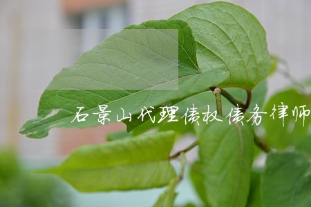 石景山代理债权债务律师 石景山代理债权债务律师