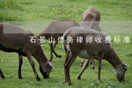石景山债务律师收费标准 石景山债务律师收费标准