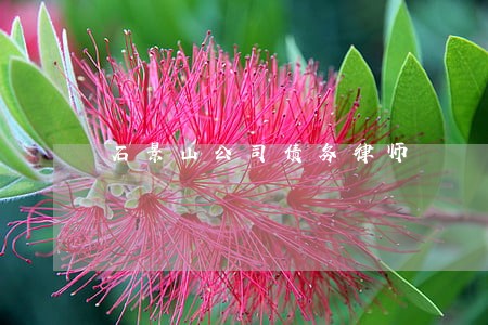 石景山公司债务律师 石景山公司债务律师