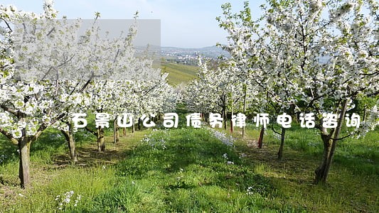 石景山公司债务律师电话咨询 石景山公司债务律师电话咨询
