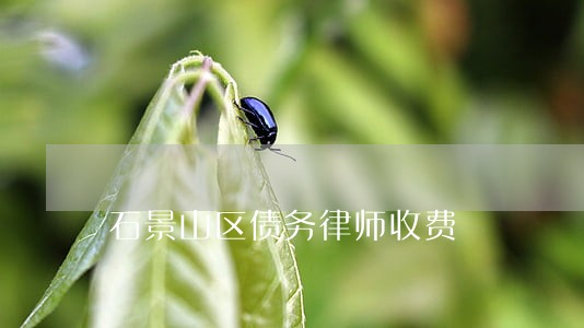 石景山区债务律师收费 石景山区债务律师收费
