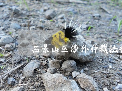 石景山区涉外仲裁法律咨询热线