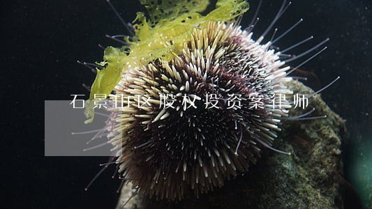石景山区股权投资案律师