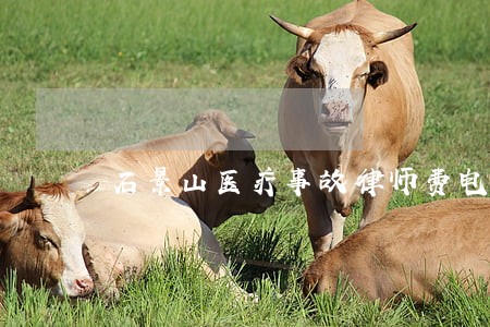 石景山医疗事故律师费电话咨询 石景山医疗事故律师费电话咨询