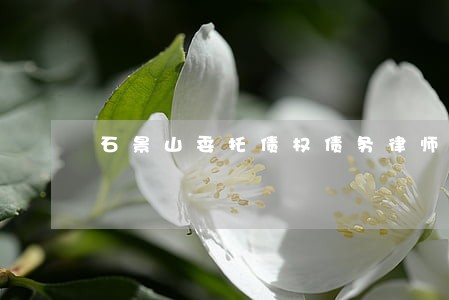 石景山委托债权债务律师 石景山委托债权债务律师
