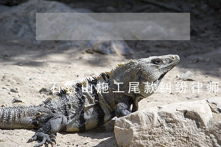 石景山施工尾款纠纷律师咨询电话 石景山施工尾款纠纷律师咨询电话