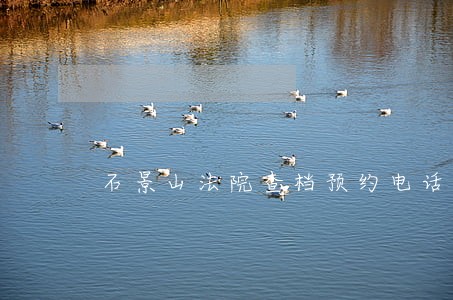 石景山法院查档预约电话