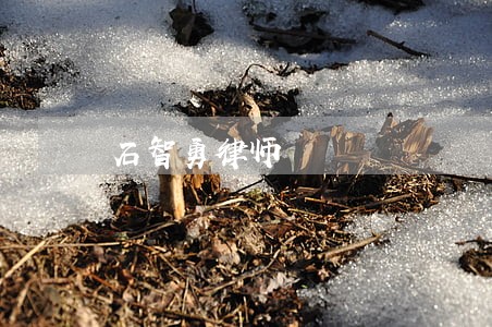 石智勇律师 石智勇律师