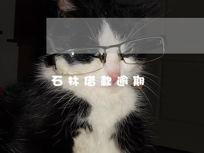 石林借款逾期 石林借款逾期