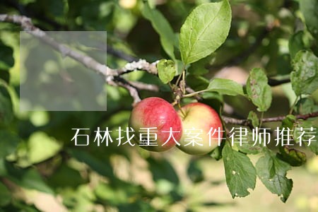 石林找重大案件律师推荐 石林找重大案件律师推荐