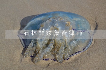 石林非法集资律师