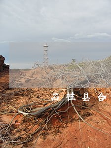 石柱县合资合作律师咨询电话 石柱县合资合作律师咨询电话