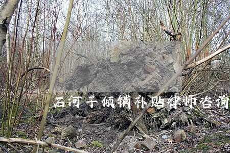 石河子倾销补贴律师咨询电话 石河子倾销补贴律师咨询电话