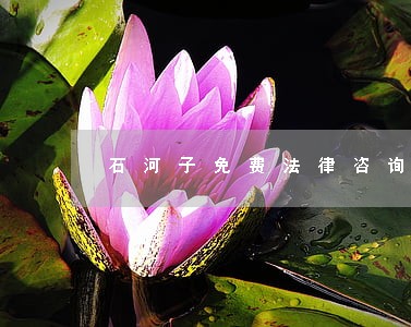 石河子免费法律咨询律师 石河子免费法律咨询律师