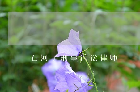 石河子刑事诉讼律师 石河子刑事诉讼律师
