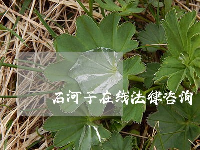 石河子在线法律咨询 石河子在线法律咨询