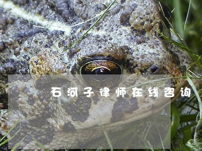 石河子律师在线咨询 石河子律师在线咨询