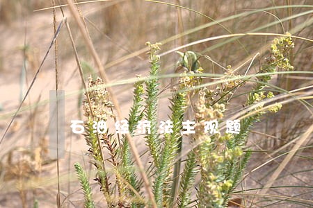 石油经济法主观题 石油经济法主观题