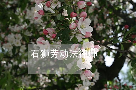 石狮劳动法律师