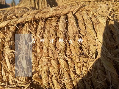 石狮律师在哪 石狮律师在哪