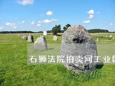 石狮法院拍卖网工业区鞋城 石狮法院拍卖网工业区鞋城