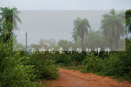 石狮纪录片版权律师 石狮纪录片版权律师