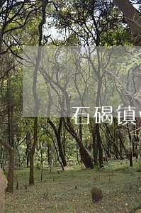 石碣镇wto事务在线律师 石碣镇wto事务在线律师