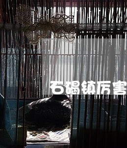 石碣镇厉害的职务侵占罪律师 石碣镇厉害的职务侵占罪律师