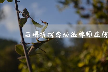 石碣镇找劳动法律师在线 石碣镇找劳动法律师在线