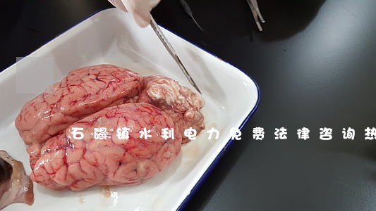 石碣镇水利电力免费法律咨询热线 石碣镇水利电力免费法律咨询热线