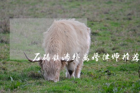石碣镇涉外离婚律师推荐 石碣镇涉外离婚律师推荐