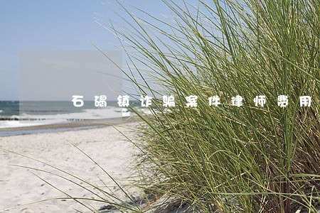 石碣镇诈骗案件律师费用
